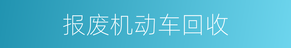 报废机动车回收的同义词