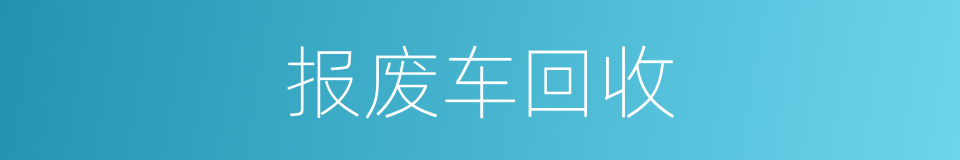 报废车回收的同义词