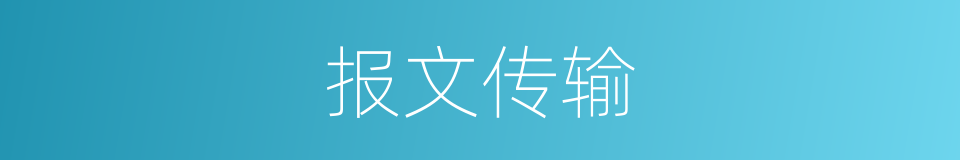 报文传输的同义词