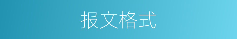 报文格式的同义词