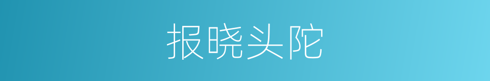 报晓头陀的意思
