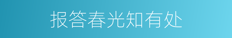 报答春光知有处的同义词