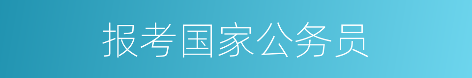 报考国家公务员的同义词