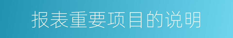 报表重要项目的说明的同义词