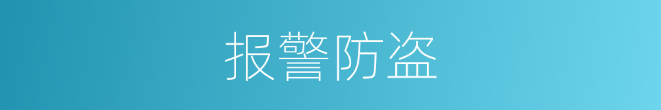 报警防盗的同义词