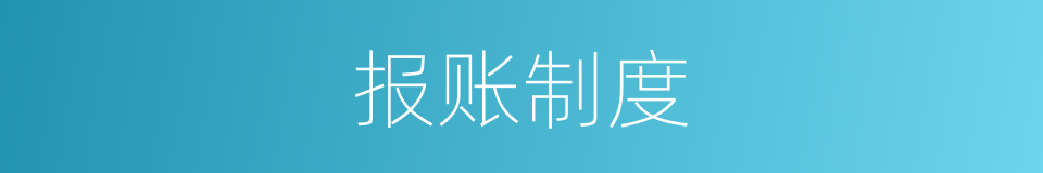 报账制度的同义词
