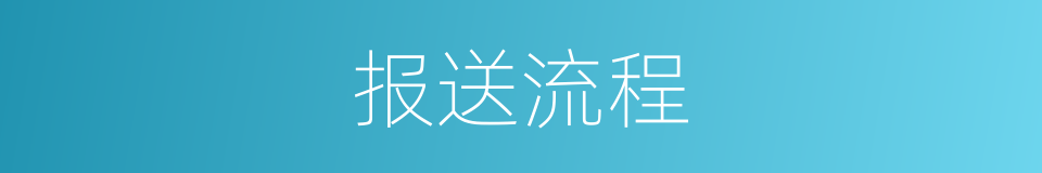 报送流程的同义词