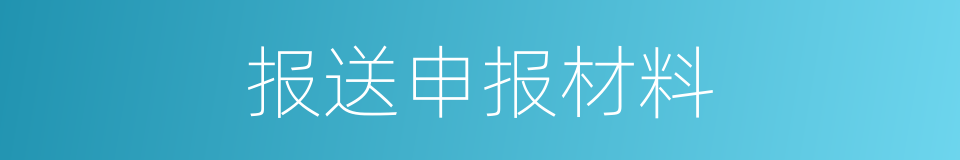 报送申报材料的同义词