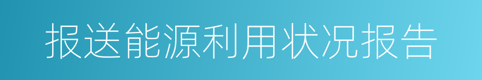 报送能源利用状况报告的同义词