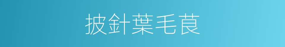 披針葉毛茛的同義詞