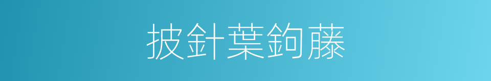 披針葉鉤藤的同義詞