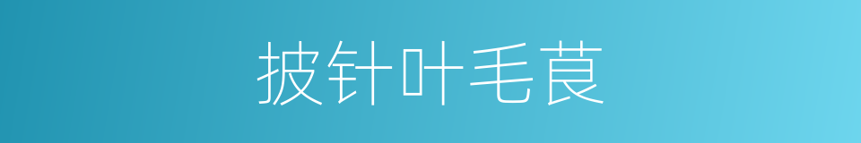 披针叶毛茛的同义词