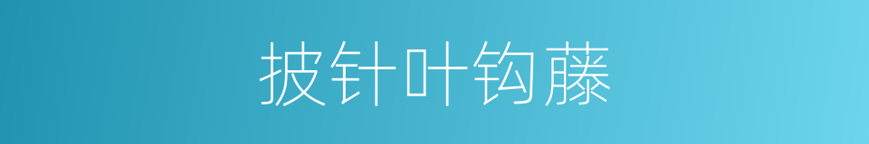 披针叶钩藤的同义词