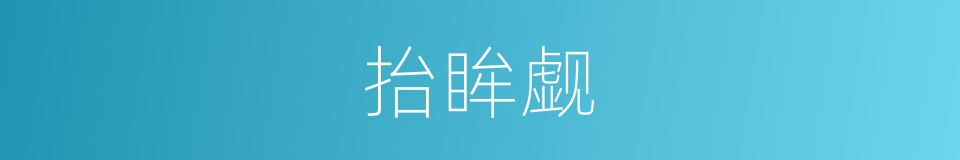 抬眸觑的同义词