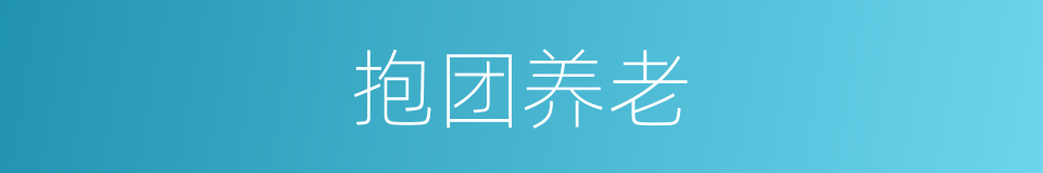 抱团养老的同义词