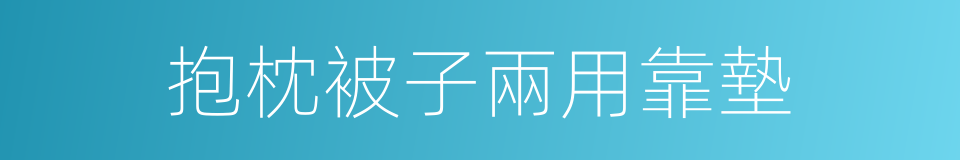 抱枕被子兩用靠墊的同義詞