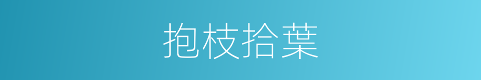 抱枝拾葉的意思