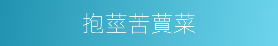 抱莖苦蕒菜的同義詞