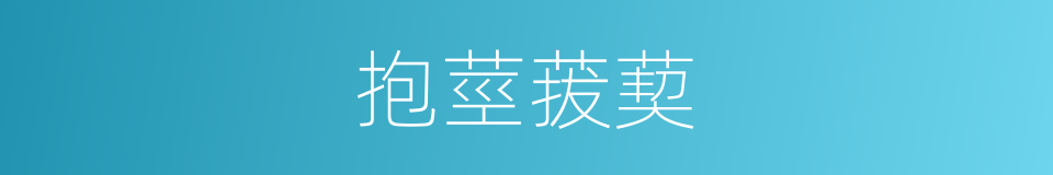 抱莖菝葜的同義詞