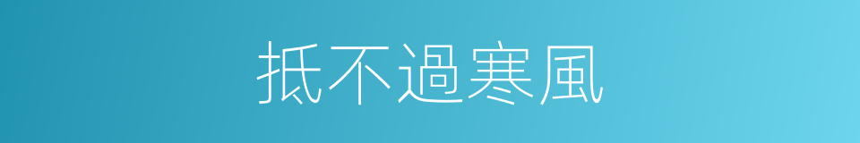 抵不過寒風的同義詞