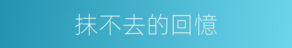 抹不去的回憶的同義詞