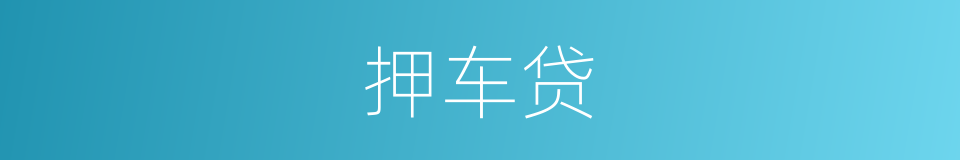 押车贷的同义词