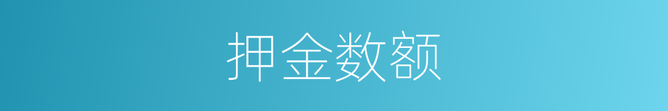 押金数额的同义词