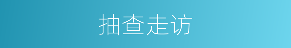 抽查走访的同义词