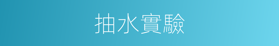 抽水實驗的同義詞