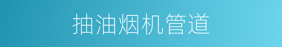 抽油烟机管道的同义词