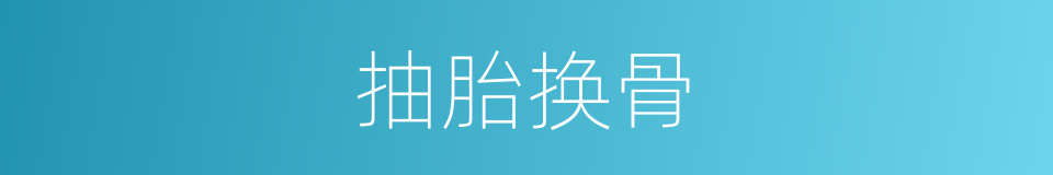 抽胎换骨的意思