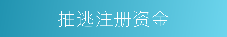 抽逃注册资金的同义词