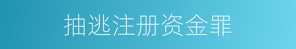 抽逃注册资金罪的同义词