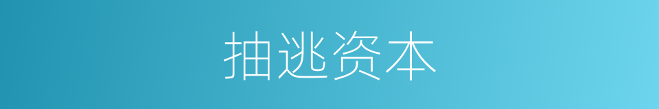 抽逃资本的同义词