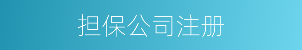 担保公司注册的同义词