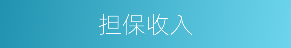 担保收入的同义词