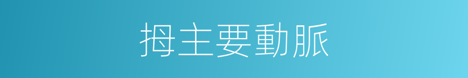 拇主要動脈的同義詞