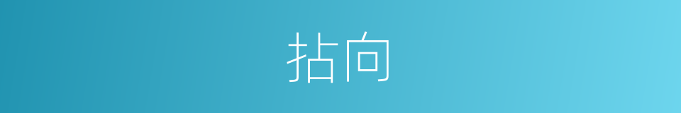 拈向的意思
