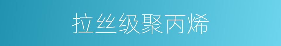 拉丝级聚丙烯的同义词