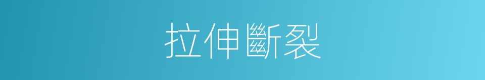 拉伸斷裂的意思