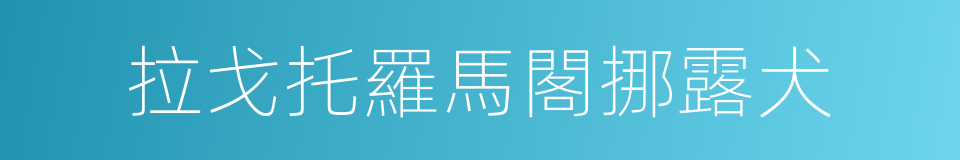 拉戈托羅馬閣挪露犬的同義詞