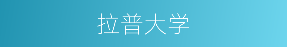 拉普大学的同义词