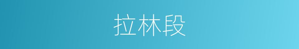 拉林段的同义词