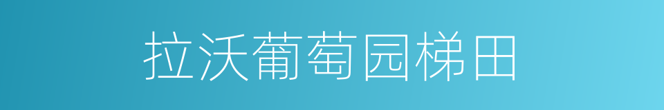 拉沃葡萄园梯田的同义词