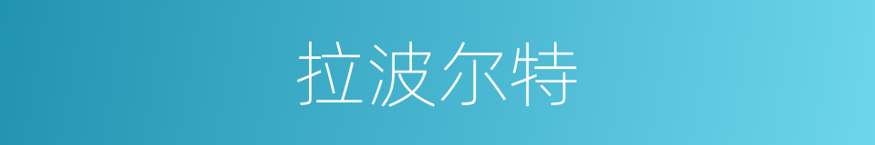 拉波尔特的同义词