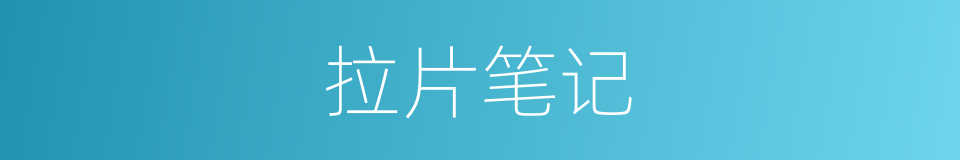 拉片笔记的同义词