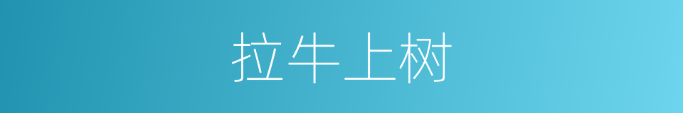 拉牛上树的同义词