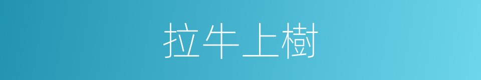 拉牛上樹的同義詞