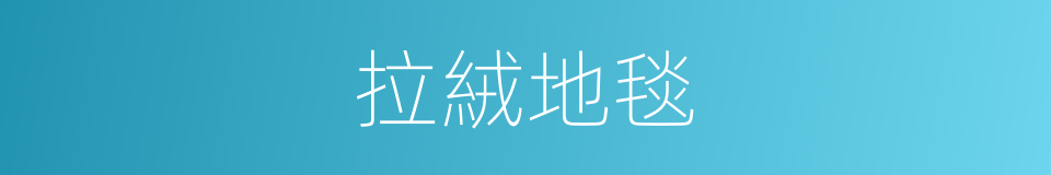 拉絨地毯的同義詞