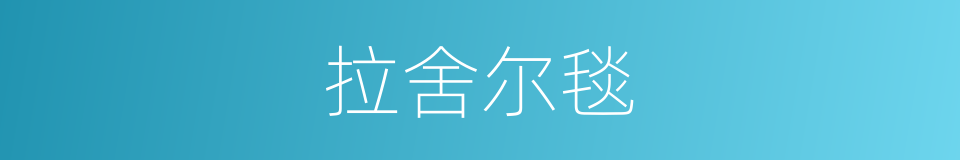 拉舍尔毯的同义词